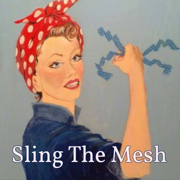 Sling the Mesh logo